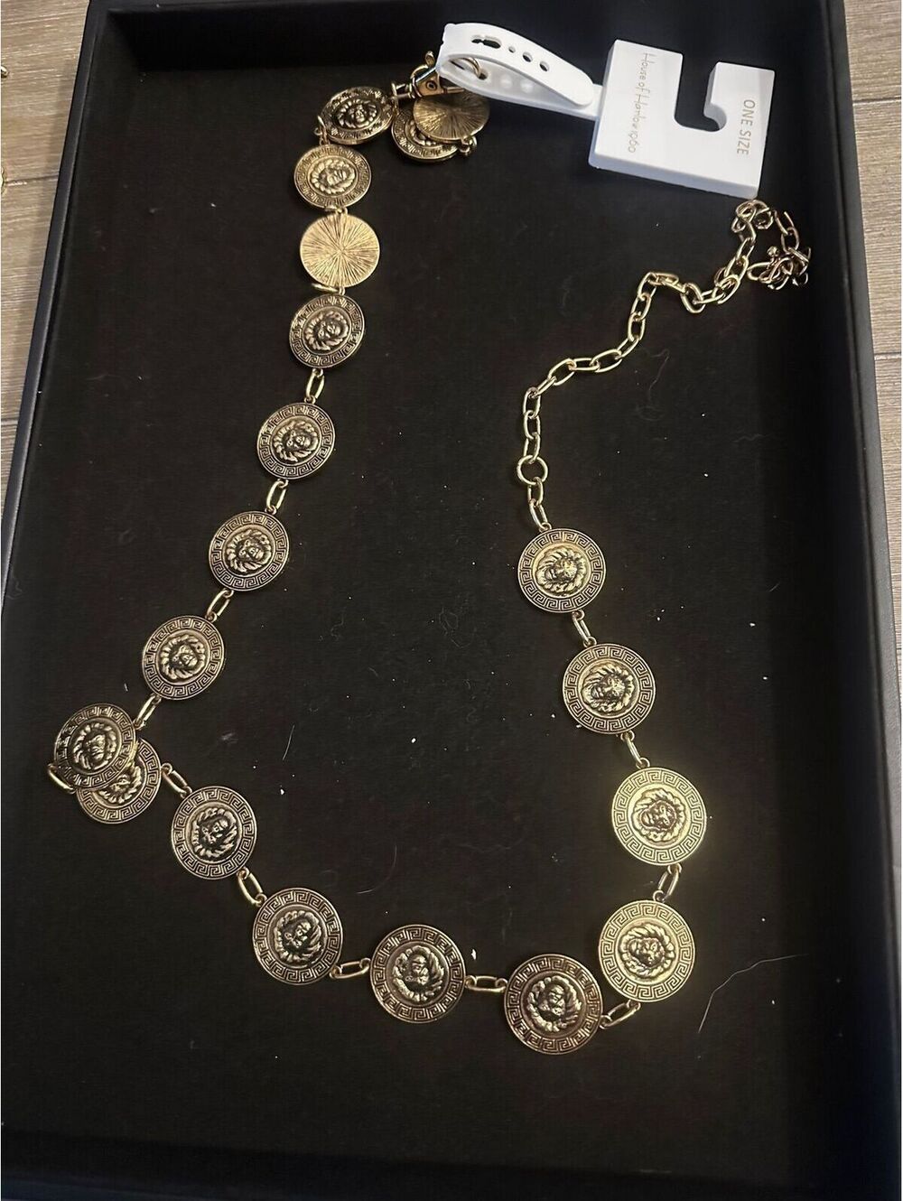 Gold-Tone Medallion Coin Belt